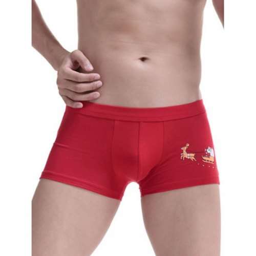 Christmas Boxer Briefs - Medium