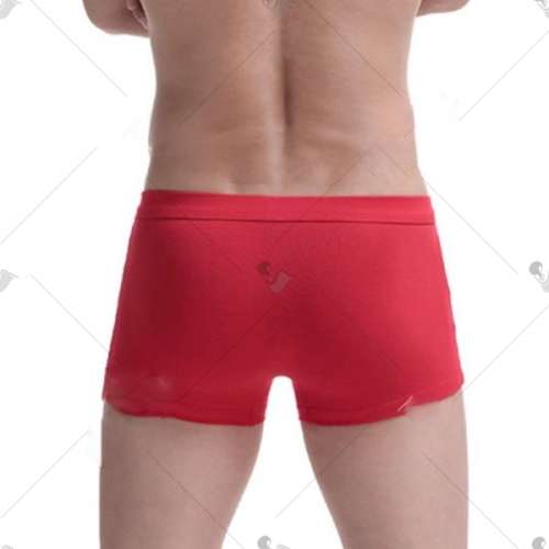 Christmas Boxer Briefs - Medium