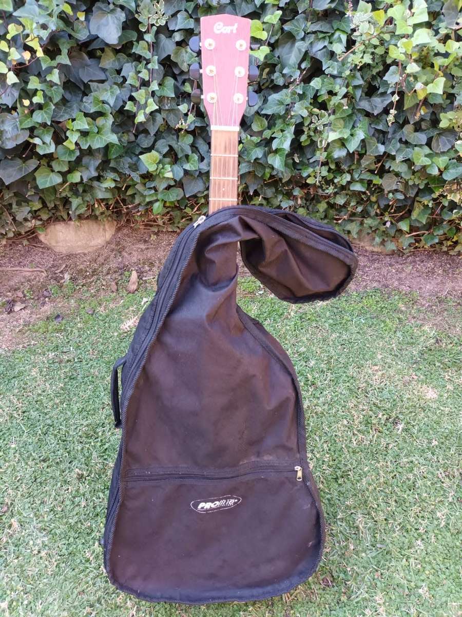 Cort MR-100F NS with Fishman Classic 4 Pickup