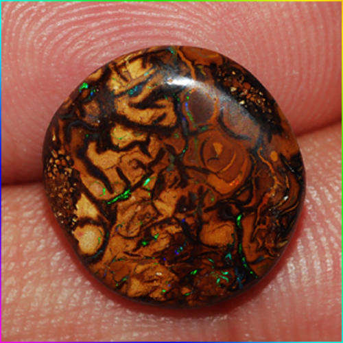 Magnificent and RARE 6.66cts Yowah Nut    Boulder OPAL!