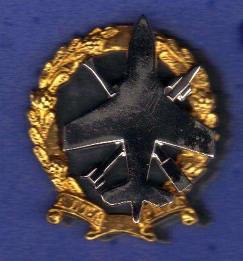 (21) SA Army 10 Anti Air Regt Beret badge (1987 to date)