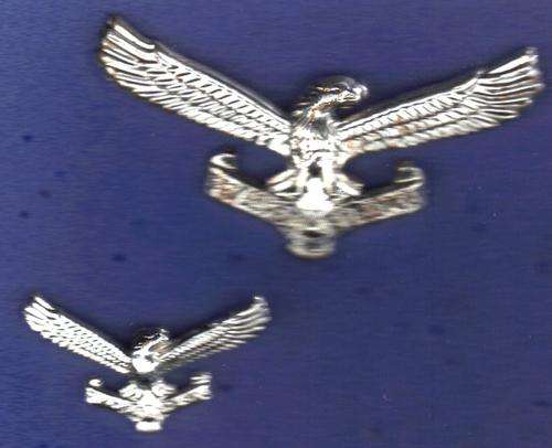(151) SA Air Force stay bright Cap and collar badges(scarce)
