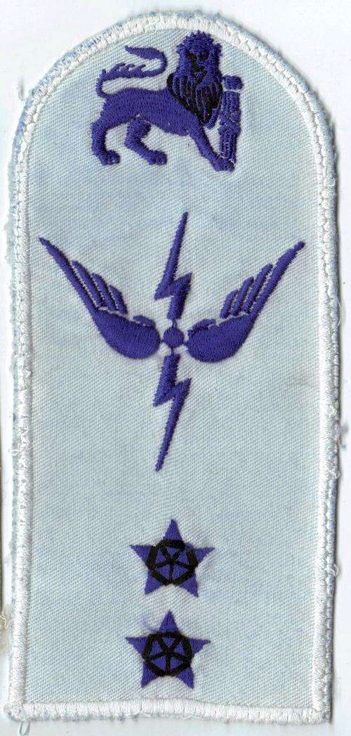 (171) SAN Obsolete  mustering (trade) badge "Telegraphist/Sparker"