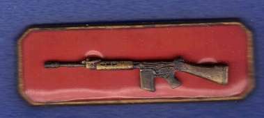 (67) SA Army Marksman bronze