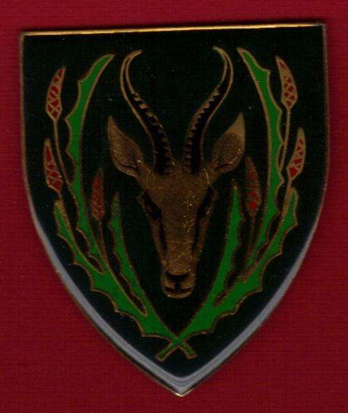 SA Army 5 SA Inf BN flash