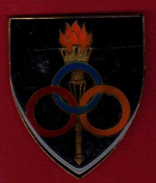 SA Army Tec Services School flash