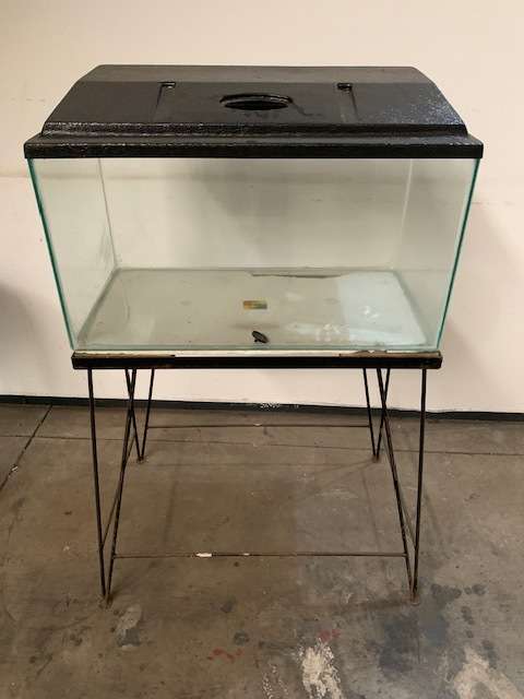 Fish tank and stand