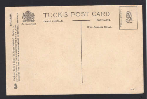 Rhodesia : Bulawayo Main Street. Card in fine condition.