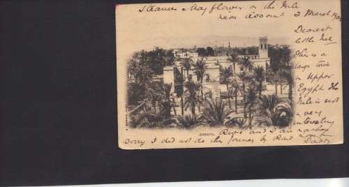 Egypt: Used card sent from Egypt to Wynberg In the Cape: Assioul 1902