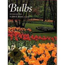 Bulbs