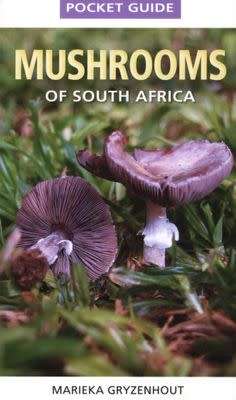 Pocket Guide Mushrooms of South Africa (Paperback)