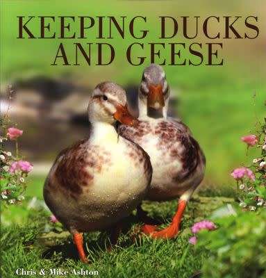 Keeping Ducks and Geese (Paperback)