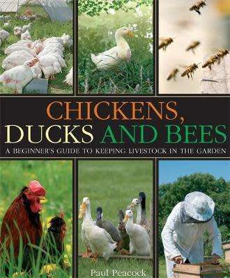 Chickens, Ducks and Bees : A beginner`s guide to keeping livestock in the garden