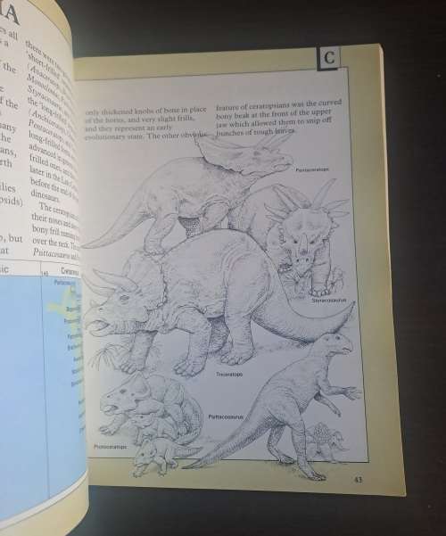 Kingfisher Dinosaurs An A-Z Guide by Michael Benton