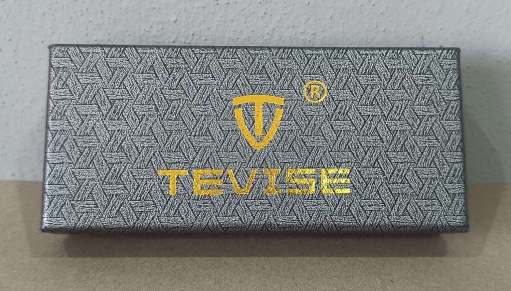 Tevise Mens Skeleton Classic Steel Automatic Watch