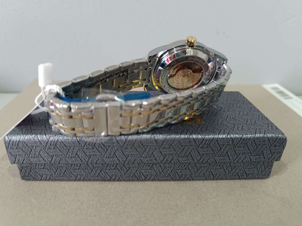 Tevise Mens Skeleton Classic Steel Automatic Watch