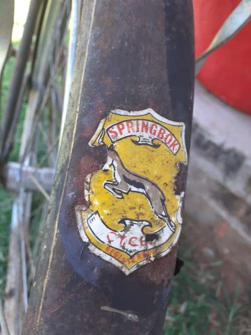 Rare!!! Vintage "SPRINGBOK" big wheeler bicycle.