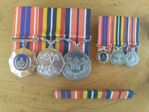 Pre 1994 SADF Medal group with minutures