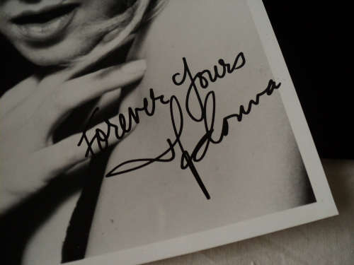 MADONNA - Official Fan Club Folder