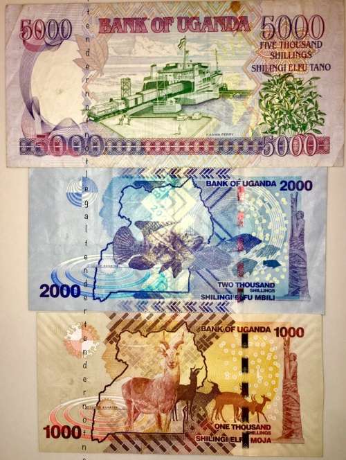 UGANDA SET OF  3  1000 SHILLINGS 2000 SHILLINGS & 5000 SHILLINGS  AUNC CONDITION