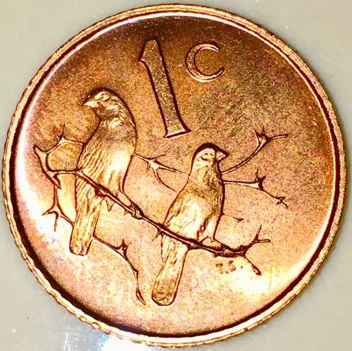 1966 1 CENT PROOF COIN
