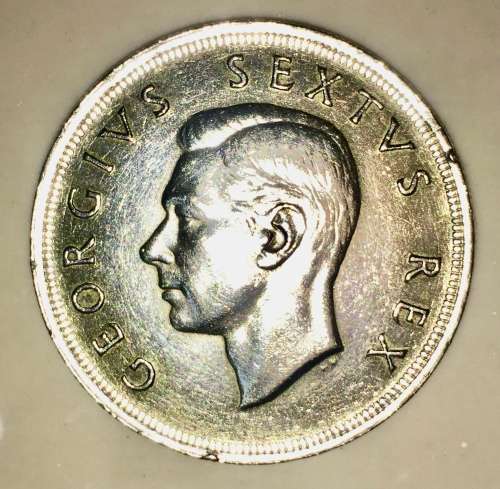 SOUTH AFRICA 5 SHILLINGS 1951  SILVER