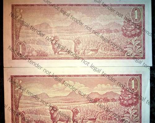 TW DE JONGH R1 ERROR NOTE LIGHTER COLOUR ON ONE SIDE ALSO OFF CENTRE (1 BID FOR BOTH)