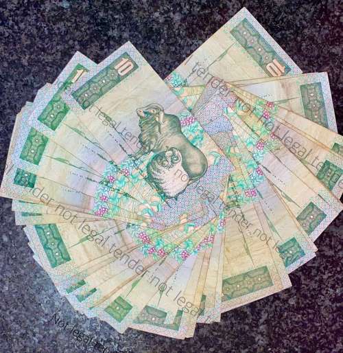 GPC DE KOCK R10 --1985-- 3RD ISSUE (1 BID TAKES ALL 50 NOTES)