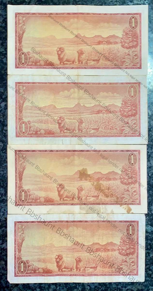 TW DE JONGH R1 - A SERIES SPRINGBUCK WTM ( 1 BID TAKES ALL 4 NOTES)