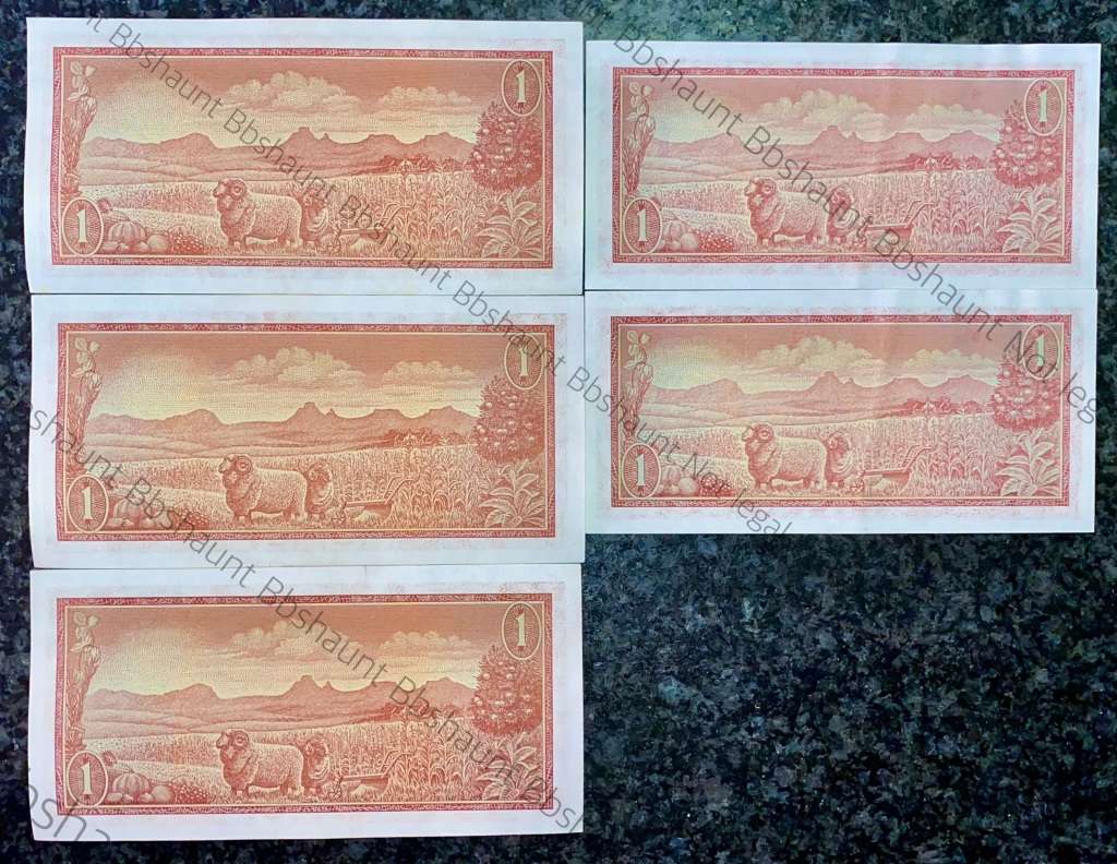 TW DE JONGH R1 IN SEQUENCE A SERIES 1967 SPRINGBUCK WTM & B SERIES 1975 RIEBEECK WTM( 1 BID TAKES AL