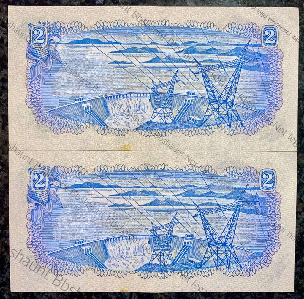 TW DE JONGH R2 IN SEQUENCE D66 /205608-609 UNC-AUNC 2ND ISSUE 1974 SPRINGBUCK WTM(1BID TAKES ALL)