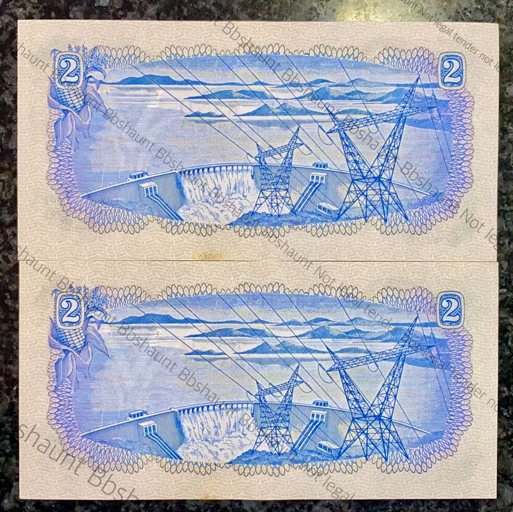 TW DE JONGH R2 IN SEQUENCE D66 /205615-616 UNC-AUNC 2ND ISSUE 1974 SPRINGBUCK WTM(1BID TAKES ALL)