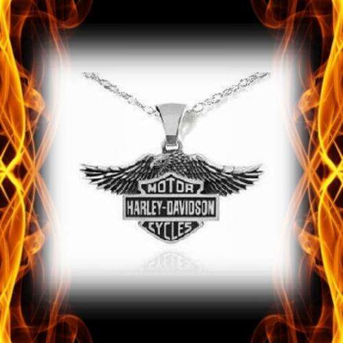 HARLEY PENDANT AND CHAIN
