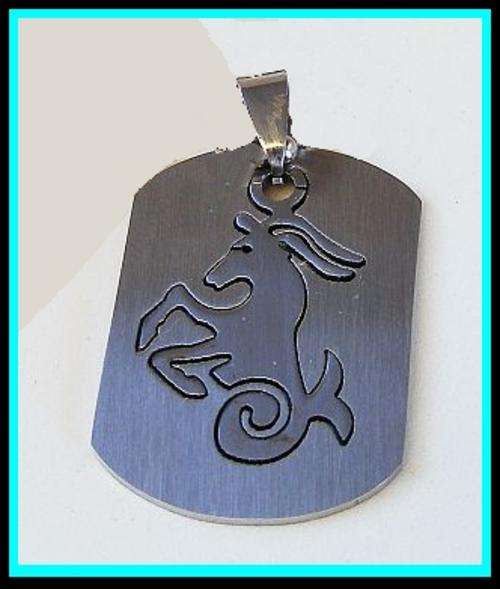 **Sale** - STAINLESS STEEL HOROSCOPE PENDANT - CAPRICORN