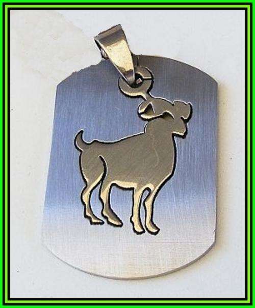 *Free Shipping* - STAINLESS STEEL HOROSCOPE PENDANT - ARIES
