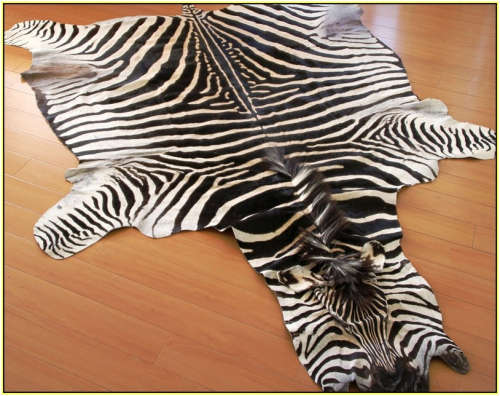 Stunning Zebra hide