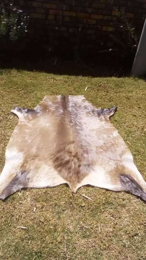 Wildebeest Hide (extra soft)