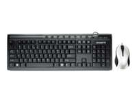 Gigabyte Keyboard and mouse PS2 Combo