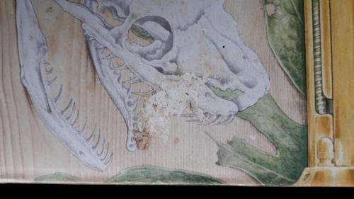 The Man With The Golden Gun, Ian Fleming, 1st ed 1965, Jonathan Cape. Make Offer!