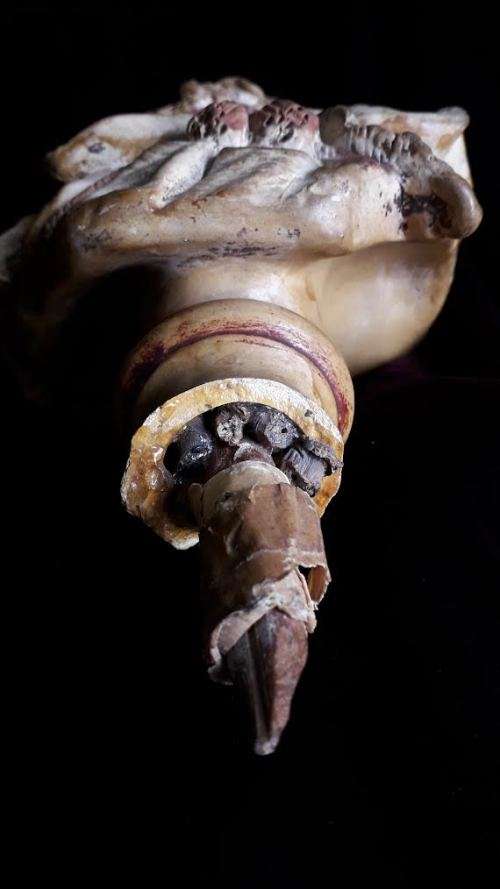 Antique 19th Century painted plaster bust.