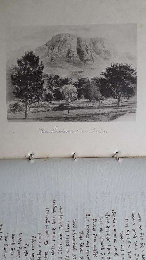 AFRICANA Table Mountain - Pictures with pen and camera. Arthur Vine Hall. Victorian era.