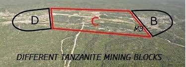 THE VAULT Offers 8 Pcs of Glistening 100% Natural TANZANITE - Blue Violet - 0.58tcw -1 Bid takes ALL