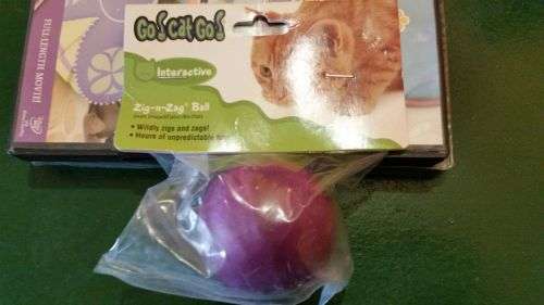 PET PALACE Offers an Interactive Zig-n-Zag Ball just Purrfect for your Cat