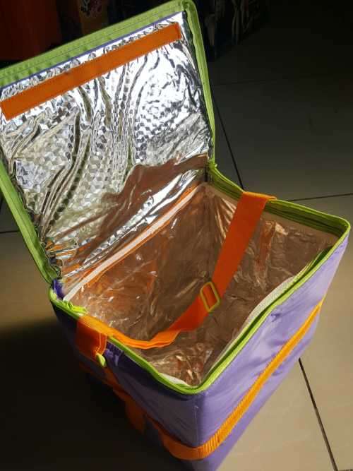 AFRICAN DREAM has a TUPPERWARE TRI Purpose 30 Litre Heat Insulated & Thermal Cooler Storage Bag