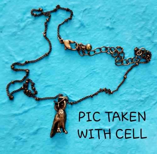 PAPARAZZI - Apologies for pics - Antique Colour OWL Necklace