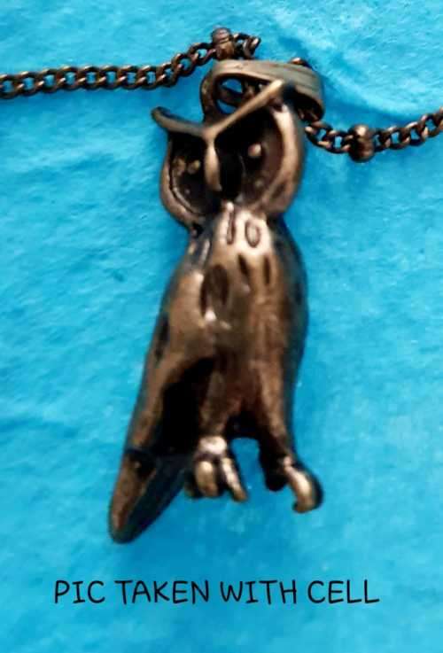 PAPARAZZI - Apologies for pics - Antique Colour OWL Necklace