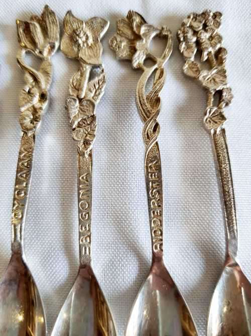 6 Stunning EPNS Demitasse Spoons - Flowers Names & Flowers on 5 - 6th Just has Flower