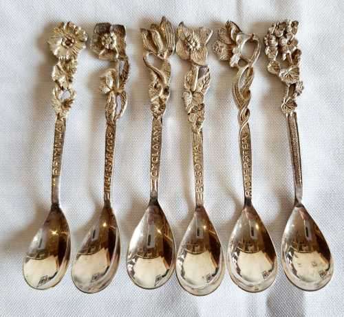 6 Stunning EPNS Demitasse Spoons - Flowers Names & Flowers on 5 - 6th Just has Flower