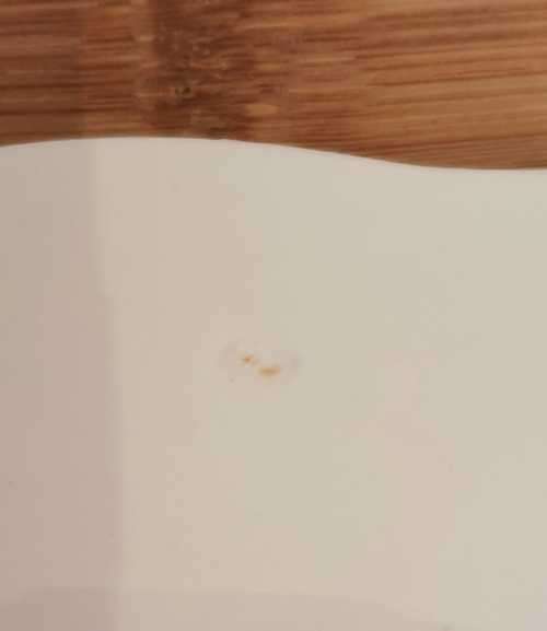 Royal Albert Blossom Time Large 25cm Cake Plate - c.40`s - Discontinued