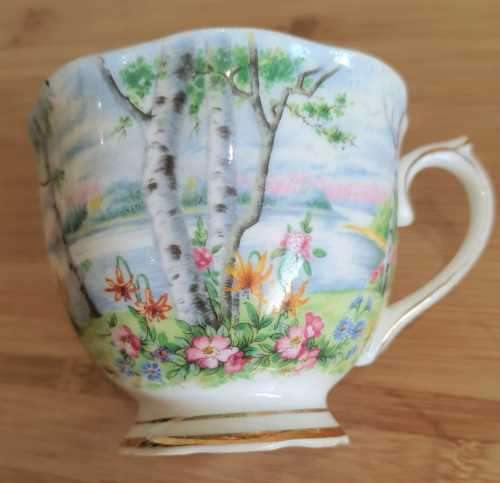 Royal Albert Silver Birch Duo - c.30-60s - Discontinued -VGC